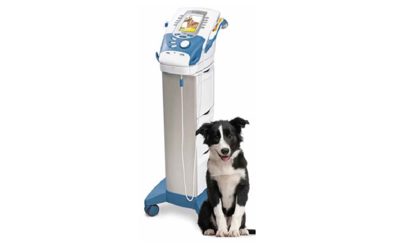 Chattanooga Intelect Vet 動物醫用多功能物理治療工作站